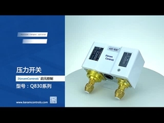 Công tắc áp suất điều chỉnh kép bằng thép không gỉ cho máy bơm nước